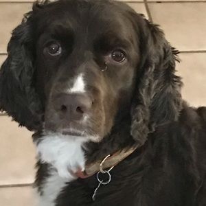 Meet your Posher, Elly